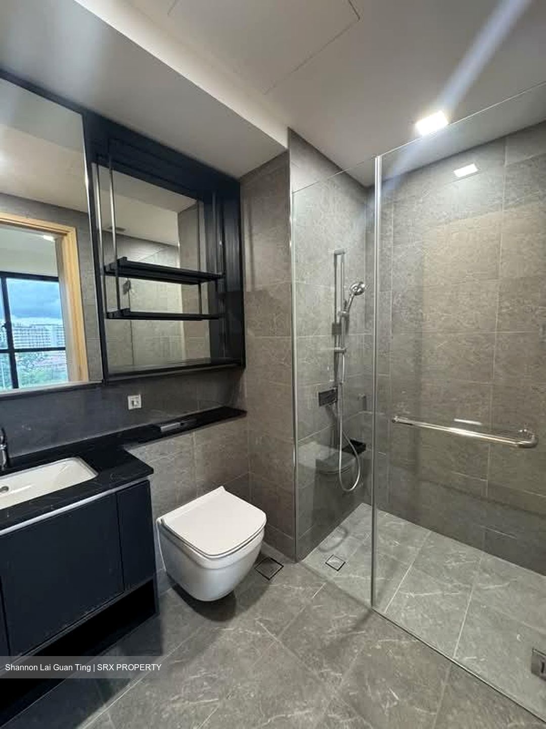 The Antares (D14), Apartment #619493481